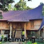 IMG-20220920-WA0043