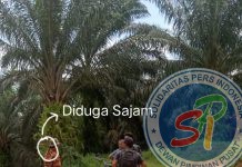 PT. Tasma Puja : Akui Tidak Terima Data Lahan Desa Alim, Ada Apa Dengan Sajam ?
