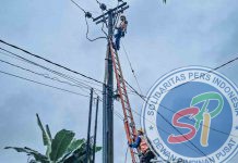 Terganggu Akibat Cuaca Ekstrem, PLN Berhasil Pulihkan Listrik di Ukui Pelalawan dalam Waktu Singkat