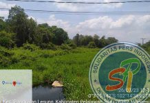 Sulit Mencari Ikan, Masyarakat Minta PT SLS Normalisasi Sungai Ganduang