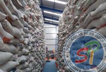 9.750 Ton Beras Impor dari Thailand dan Vietnam Kembali Masuk Lewat Dumai Akhir Juli Ini