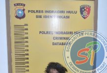 Polres Inhu Ringkus Pengedar Ganja Kering