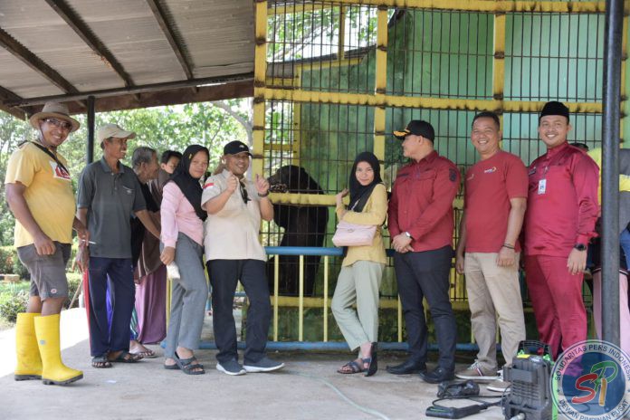 Beruang 4