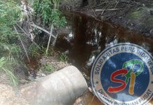 Pabrik Kelapa Sawit LSP Libo Jaya, Diduga Sengaja Buang Limbah Cair ke Sungai