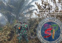 Personel Koramil Jajaran Kodim 0321/Rohil Bersinergi Dengan Tim Gabungan lakukan Verifikasi dan Pemadaman Titik Api di wilayah Rohil