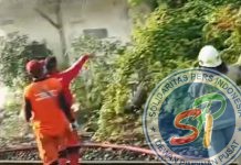 Kebakaran Bangunan Lapak Barang Terjadi Di Grogol, Jakarta Barat (Jakbar)