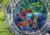 Dinkes Berkurban Tiga Ekor Sapi pada Idul Adha 1446 H