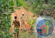 Bupati Pelalawan Meninjau Langsung Kondisi Jalan Pintas Yang Menghubungkan Desa Kemang Dan Desa Meranti Di Kecamatan Pangkalan Kuras