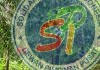 Seorang Pria Hilang Di Dalam Perkebunan Karet Di Desa Tenan