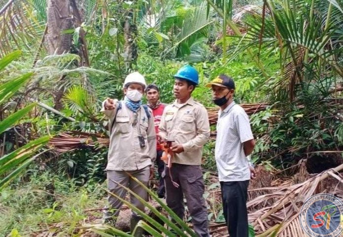 pengecekan lahan