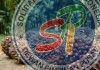 Dipicu Pelemahan CPO dan Kernel, Harga TBS Mitra Swadaya di Riau Turun