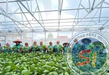 Kisah Perempuan Tangguh Penjaga Iklim di Air Jamban: Saat Lahan Gersang Berubah Menjadi Ladang Cuan