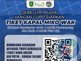 Sebelum Mudik Lebaran, Kendaraan Roda Empat Harus Siapkan Tiket Lewat Aplikasi TRIPS Bengkalis