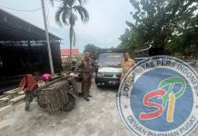 Sampah Kampar Dibuang ke Air Hitam Pekanbaru, Tiga Pelaku dan Delapan Kendaraan Diamankan